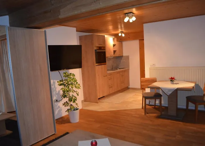 Haus Plangger 公寓